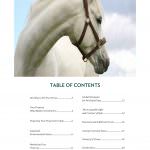 Table of Contents, Houlihan Lawrence, Killer Pre-Listing Presentation