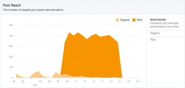 Social Media Audit—Promoted Posts